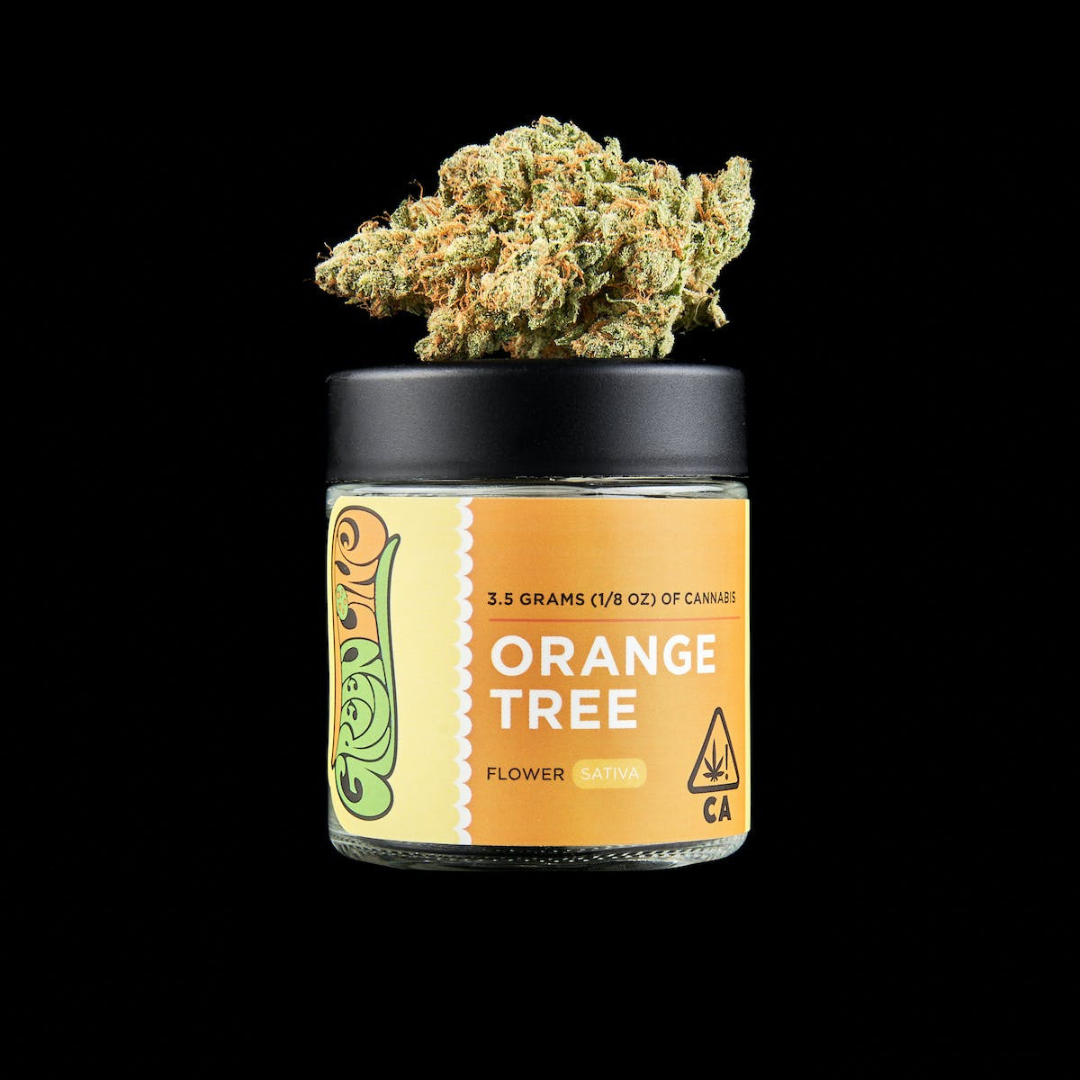 Orange Tree